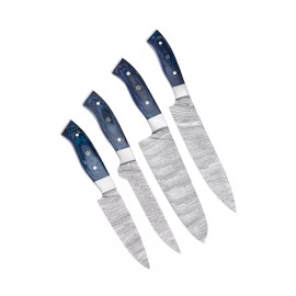 PREMIUM INSTRUMENTS Damascus Steel Knife Set of 4 Custom Handmade Forged Chef Kitchen Regular Knives