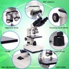 SELFIE CAT Binocular Compound Microscope, 40X-5000X Magnification Electronic Eyepieces Adult