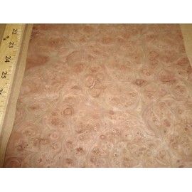 Carpathian Elm Burl Wood Veneer 9" x 11" raw with no Backing 1/42" Thickness AAA