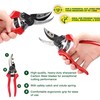 Dekton Heavy Duty Pro by Pass Pruner – Ergonomic Gardening