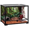 AWERT 48x24 inches Tropical Forest Terrarium Background Green Huge Tree