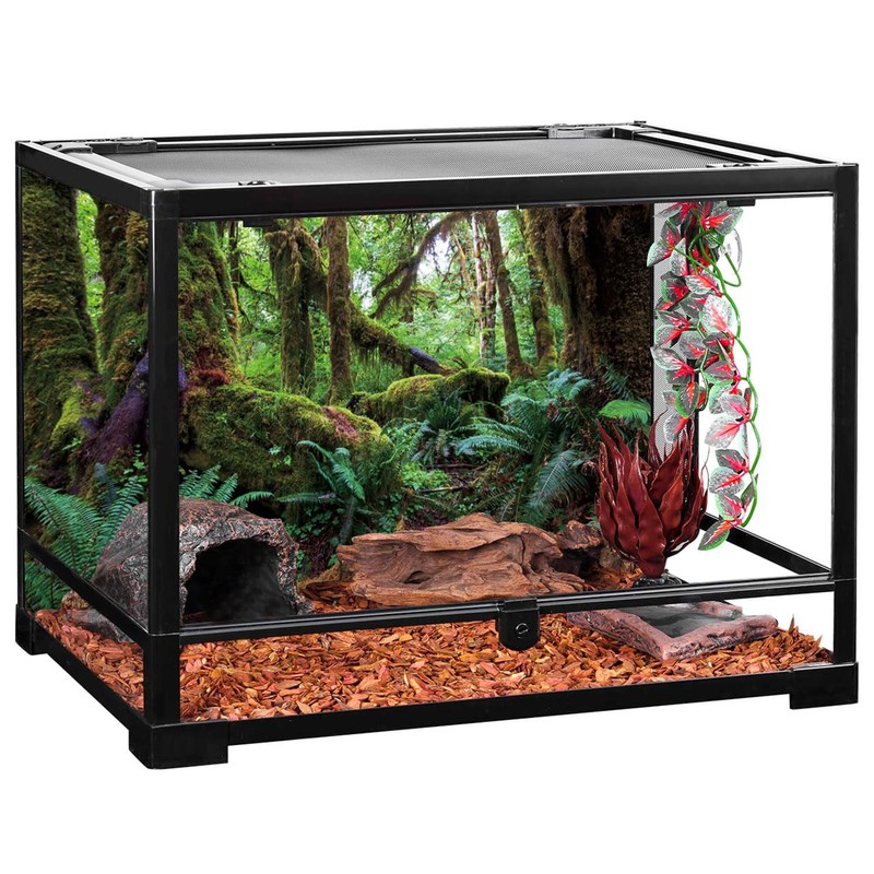 AWERT 48x24 inches Tropical Forest Terrarium Background Green Huge Tree