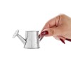 Juvale Mini Watering Can - 3 x 1.6 in, Silver,