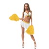 PUZINE Pack of 12 Cheerleading Plastic Pom Poms (1 Dozen),