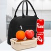FlowFly Lunch Bag Tote Bag Lunch Organizer Lunch Holder Insulated