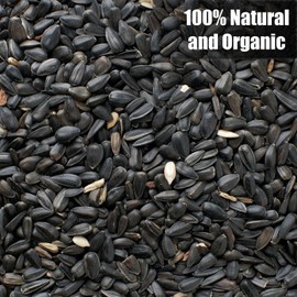 Wildlife Black Oil Sunflower Seeds for Birds and Wildlife, Non-GMO & USA Grown on Small Farms (25 lbs)