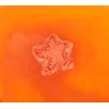 Holler and Glow Counting Stars, Starfish Shaped Bath Fizzer