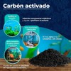 Lomas CARBON ACTIVADO 450 G.