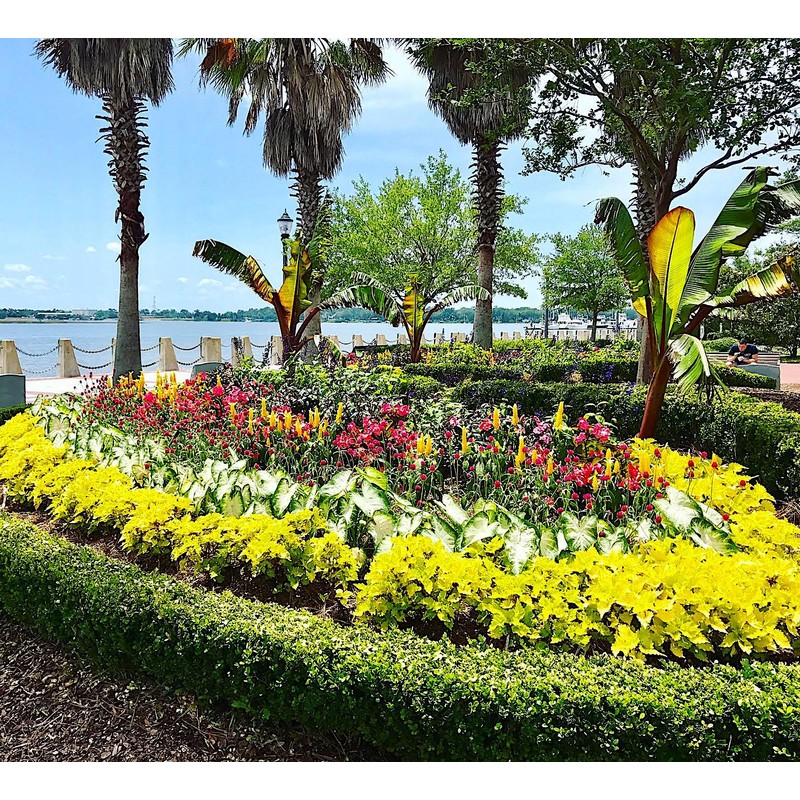 Nelson - Trees, Shrubs, & Evergreens Plant Food for In-Ground,