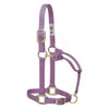 Weaver Leather Original Adjustable Nylon Horse Halter, Average Horse, Lavender