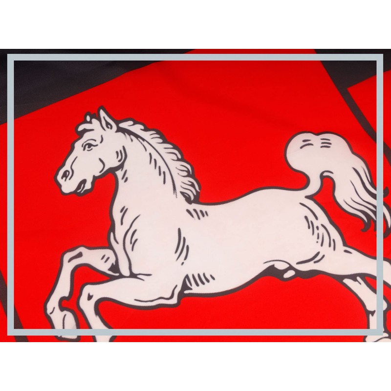 PHENO FLAGS Lower Saxony Flag - Federal State Flag with