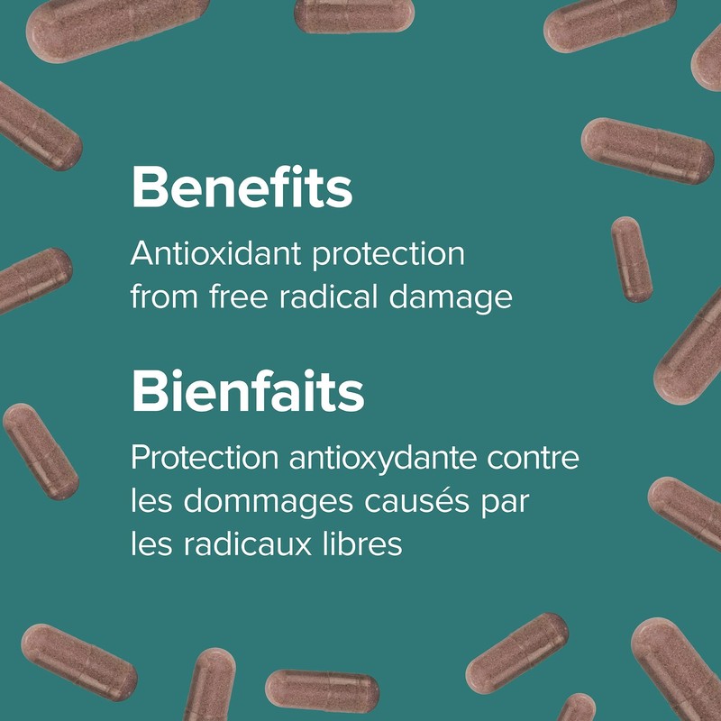 Webber Naturals Webber Naturals Blueberry, 120 Capsules, Antioxidant Spport