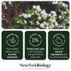 New York Biology Aloe Vera Gel for Face, Skin and