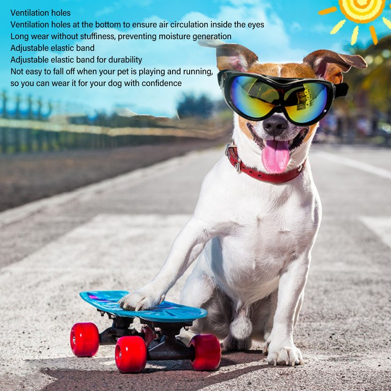 Large Dog Sunglasses UV Protection Waterproof Windproof Adjustable Dog Goggles
