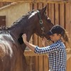 Horse Grooming Kit - 3 Pcs Black Sponges for Cleaning,
