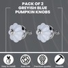 ETHNICITI Pack of 2 Pumpkin Shaped Blue Grey Ceramic Knobs