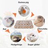 RJFUJP 2 Pcs Guinea Pig Bed, 35x25cm Hamster Bed, Washable