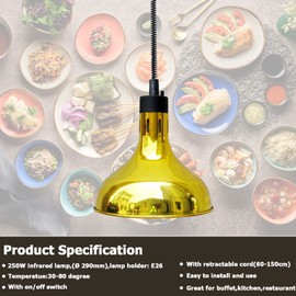 Hanging Food Heat Lamp Infrared Food Warmer Fry Heating Light 250W with Retractable Cord (Dia29cm(Gold))