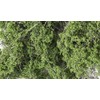 Fine Leaf Foliage, Medium Green/80 cu. in.