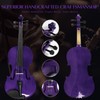 Ceciliec 16 Inch Acoustic Viola Set, Beginner Handmade Varnish Solid