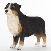 Conversation Concepts Australian Shepherd