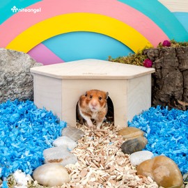 Niteangel Birch Chamber-Maze Hamster Hideout - Small Pets Woodland House Habitats Decor for Hamster Mice Gerbils Mouse
