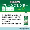 Kaneyo Soap Liquid Cleanser, Stainless Steel, Crimp Cleanser, Mint Scent,