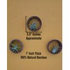 It Blooms 3 Piece Bamboo Air Plant Rings - Hang
