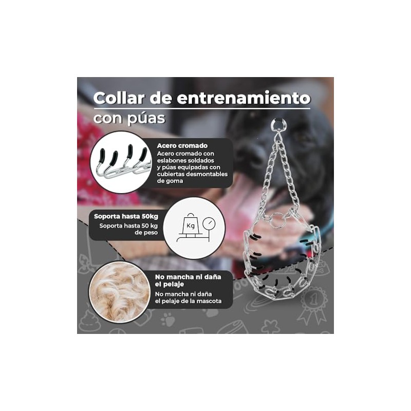 Fancy Pets Collar de Entrenamiento con Púas para Perro de