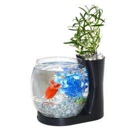 Elive Betta Fish Bowl / Betta Fish Tank with Planter, Small 0.75 Gallon Aquarium, LED Light Timer, Black