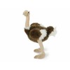 Unbekannt Plush Toy African Ostrich 30 cm