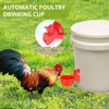 Automatic Feeder and Waterer Set for Chickens Ducks Small Animals,