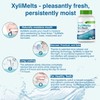 Oracoat XyliMelts for Dry Mouth Night Time or Day -