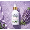 Lavender High Moisturizing Cream 160g Snail Elasticity Dry Skin /