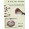 Set De Cilindros Brochas Profesional Beauty Creations Origin