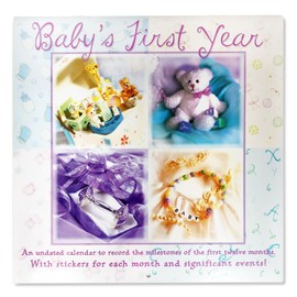 Baby's First Year Calendar - Over 80 Stickers Included