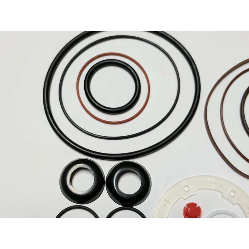 Seal Kit Replaces Roosa Master Stanadyne 33814/24373 for DB2 Diesel