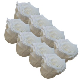 your castle Infinity Roses, Eternal Rose, Pack of 8 Freeze-Dried Roses in White, Preserved Real Flowers that Never Witer, Decoration, Table Decoration