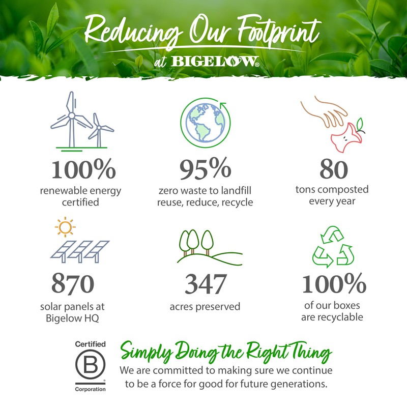 Bigelow Tea Seasonal Tea Collection, Caffeine Tea Variety Pack Gift