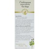 Celebration Herbals CELEBRATION HERBALS Echinacea ANG Herb Tea Organic 24