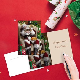 Tree-Free Greetings - Season's Greeting Cards - Artful Designs - 12 Cards + White Envelopes - Made in USA - 100% Recycled Paper - 4 x 6 - Cat Nap Santa (FS93513)