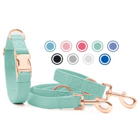 Soft Leather Dog Collar and Lead (2 m) Set - 3-Way Adjustable Dog Lead with Collar, Stylish Rose Gold Metal Buckle & Nylon Dog Lead for Puppies Small Medium Large Dogs Green, S