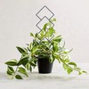 Wellsign Indoor Plant Trellis for Climbing Plants, 16inch Small Garden