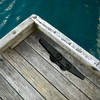 ZUJARA 4 inch Black Boat Cleats, 5-Pack Electrophoretic Coated Black