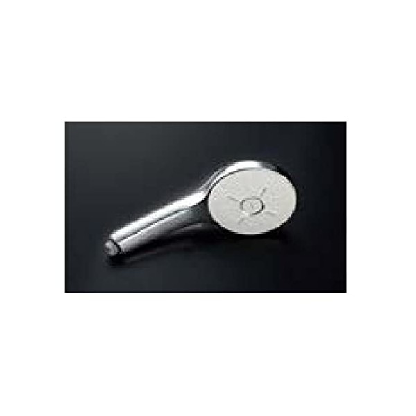 BF-SM6 LIXIL LIXIL/INAX Eco Aqua Shower SPA (Plated) Head Only (Silver)