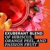 TAZO Passion Herbal Tea Bags - Hot or Iced, Caffeine-Free
