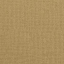 Florence Coloured Card Peanut Brown - Craft Card A4 - Craft Paper 10 x - Scrapbook Paper for Cards Crafts, Punching and Paper Crafts - Craft Set Texture