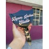 Paleta Para Lashista Personalizable