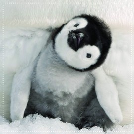 Me to You Up Close 3D Merry Christmas Greeting Card Baby King Emperor Penguin Chick