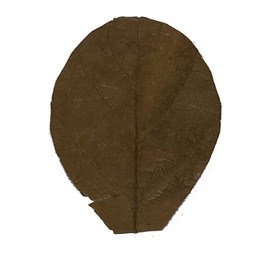 Awesome Aquatic Betta / Shrimp Leaves 100 Mini 2 " Premium Catappa Indian Almond Leaves Natural Habitat Tannin Producing Improves Immunity, Easy to USE